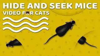CAT GAMES - Catching Mice! Entertainment Video for Cats to Watch | CAT & DOG TV. Games for Cats