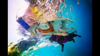 An Underwater Dog Adventure with Boudreaux & Thibodeaux by Flashpool Productions