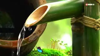 🟢 Healing Music For Sleep, Relaxation Music of Flowing Water | Relieve Stress, Calm The Soul & Mind