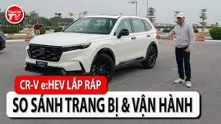 Honda CR-V e:HEV lắp ráp tại VN - kỳ vọng lớn từ những thay đổi nhỏ | TIPCAR TV