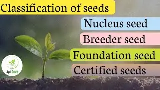 || CLASSIFICATION OF SEEDS || #Agridosth #agriculturefacts || SEED AND ITS TYPES ||