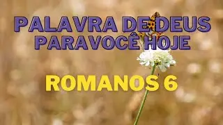 PALAVRA DE DEUS PARA MIM HOJE - EVANGELHO DO DIA DE HOJE - PALAVRA DO DIA 07 DE MARÇO.