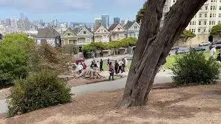 Alamo Square, Park