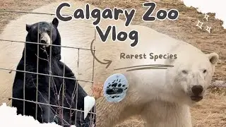 Calgary Zoo Vlog | Most visted Place on Earth? | One of the top Zoos in the world | Rarest species