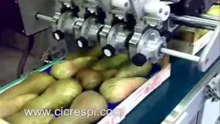 Labelling on fruit in boxes: pears - www.cicrespi.com
