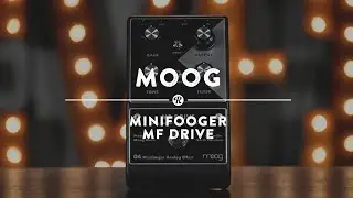Moog Minifooger MF Drive | Демонстрационное видео реверберации