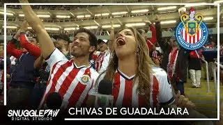 Pasion de las Chivas, GDL MX
