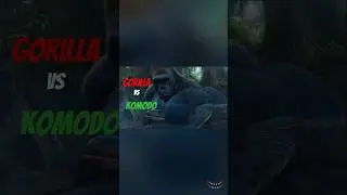 Savage Clash: Gorilla Beats Down a Komodo Dragon!