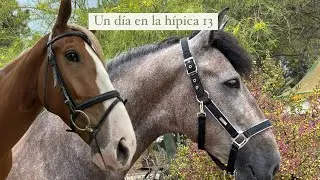 Vlog - Un día en la hípica 13