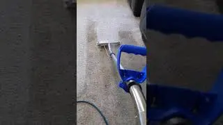 Carpet Steam Cleaning Brisbane