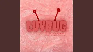 LuvBug