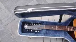 Takeharu WT-100 12 string guitar. Japanese Martin copy made by Suzuki