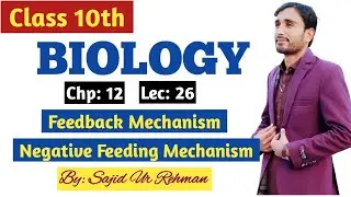 Feedback Mechanism & it's types || Negative Feedback Mechanism || 10th Bio Chp 12 Lec 26