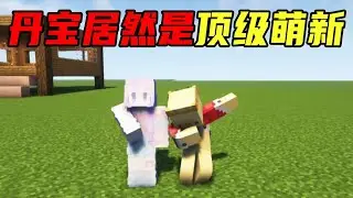 我的世界段子：什么是顶级萌新？