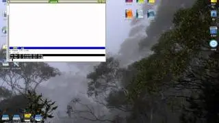 Puppy Linux Little Slow Opening ROX Filer