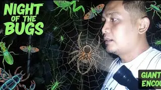 Exploring the World of Insects‼️MILLIPEDES, CATERPILLARS, BUTTERFLIES, SPIDERS, BEETLES