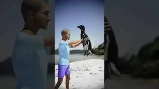 Preview 2 zack d films stuff v29 guinness world stuff v594 reversed