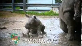 Mother's Day at Lion Country Safari!