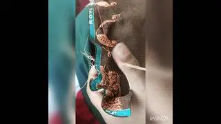 How To Make Kasteer Or Kasful.. #KashmiriTilla