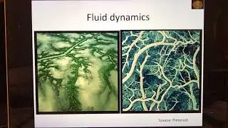 Rule Of The Artery