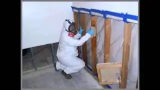 Mold removal service company Phoenix Az review