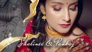 The Journey Begins | Shalinee & Pankaj | Cinematic Wedding Teaser | Full HD