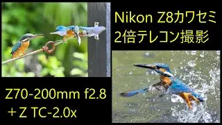 2倍テレコンでカワセミ撮影に挑戦　Nikon Z8  Z70-200mm TC-2.0x　晴天編