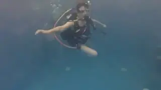 Try Scuba Diving