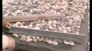Salizzo de Cogoli