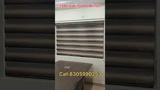 zebra window blinds #trending