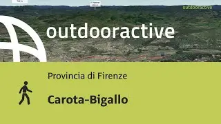 Carota-Bigallo