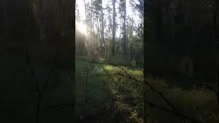 Найди 8 тенёт в 1 кадре.V50825 075104