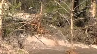 Flooding In Millville, Utah