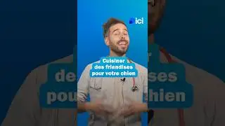 FRIANDISES MAISON pour chien : Stop aux additifs ! ❌ #Chien #RecetteChien #Sant&eacute;Animale