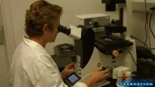 Gastric Cancer Foundation Registry