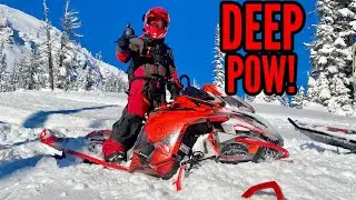 2022 LYNX IN DEEP POW!!