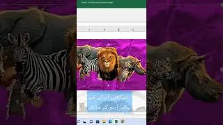 How to insert image in MS Excel. #excel #exceltutorial #msexcelinurdu #exceltips #excelinhindi