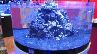 Proaquatix Cylinder Lookdown Tank @ MACNA 2013