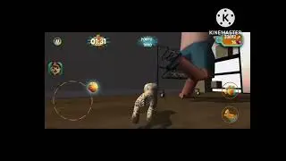 Cat Simulator 2015 Sweet Steam 