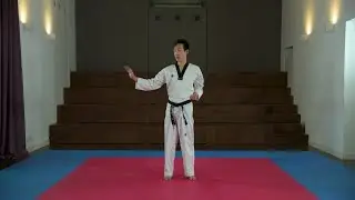 Yopchagi, Hansonnal makki, Sonnalmakki, Cut, Chikki e Reverse dollyo - Corso Taekwondo ep. 6