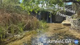 Wind Wolves Preserve - Bakersfield, CA - 3 mile hike in beautiful scenery and even deer