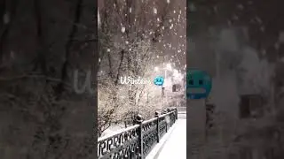 winter status | Snow fall 🥶 status | #winter #shorts