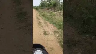 powari farming vlog 🌾🌾⚡🌾🌾
