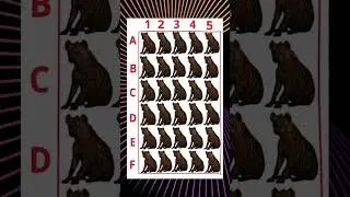 Find the hyena missing a leg! 🐾 #bewin #puzzle #quizchallenge #robux #monopolygodice