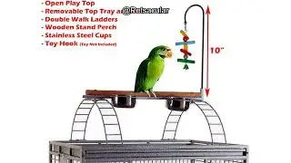XX-Large Castle PlayTop Parrot Cage Review: Is It Worth the Investment for Large Birds?