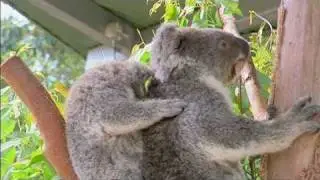 My Australia: Episode 07 - Part 3