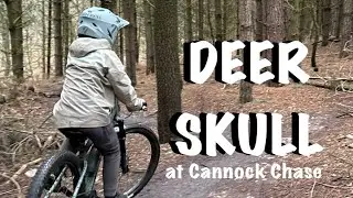 Deer Skull 💀 (RED) POV Cannock Chase MTB on my Calibre Line T2 - Age 9 - The Monkey Trail