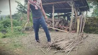 Natural Fuel: Organizing Dry Coconut Leaves for the Stove _FarmersLife _Shorts