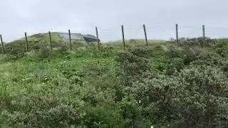 Atlantic Wall bunker 8776 at Scheveningen Radio