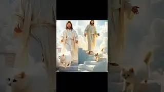 Jesus's loving cat #cat #amen #jesus #faith #love #jesuschrist #miracle #god